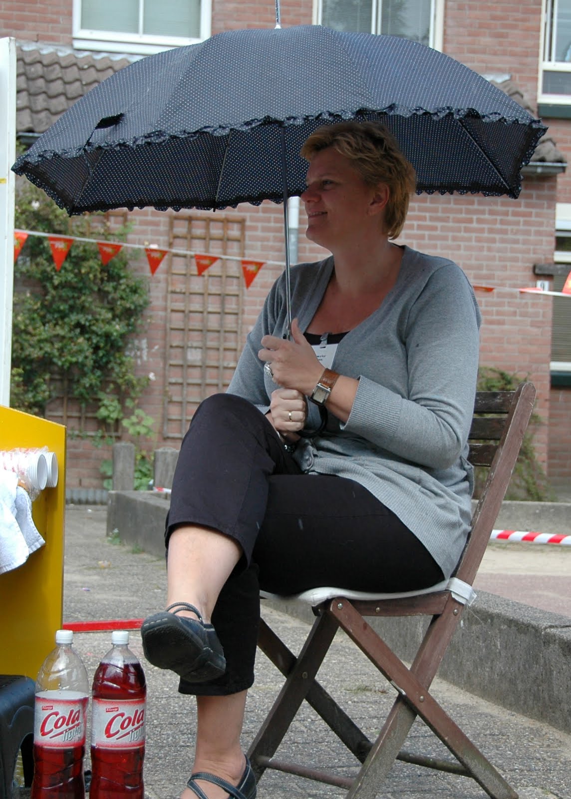 Pleinfeest 2009 (15)