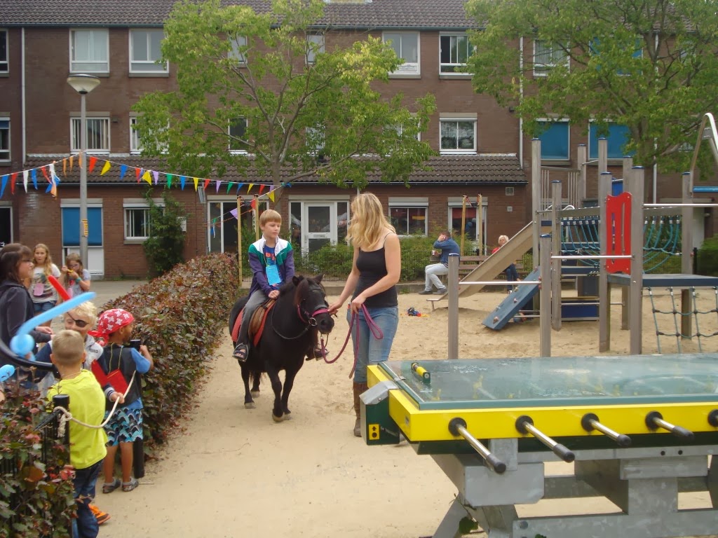 Pleinfeest2013 (42)