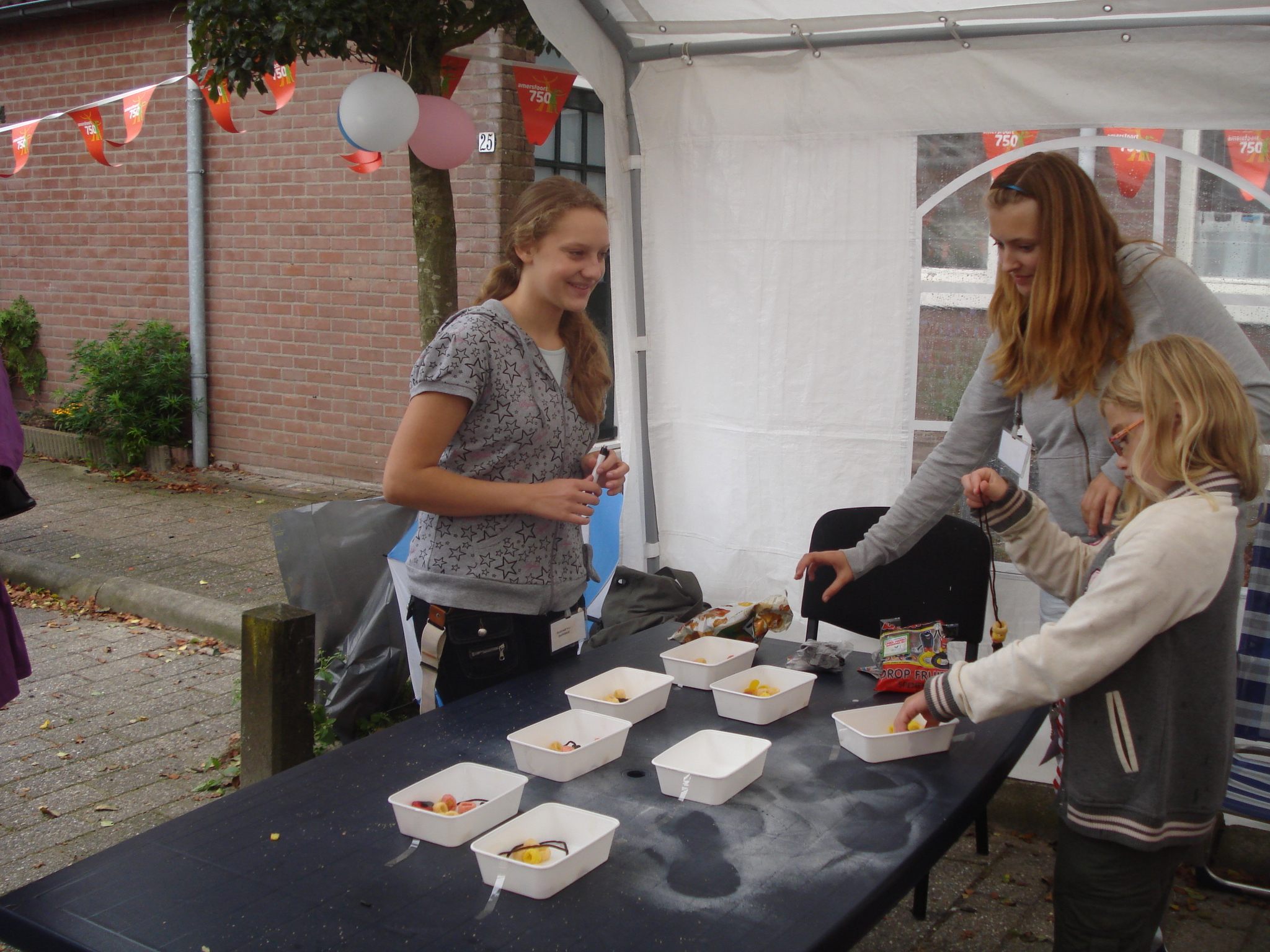 pleinfeest 2011 (7)